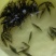 鳜鱼