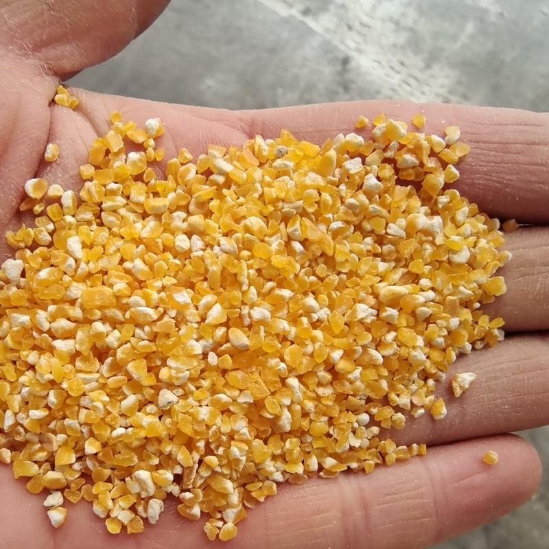 玉米碴黄玉米渣棒子粒五谷杂粮（大，中，小）玉米