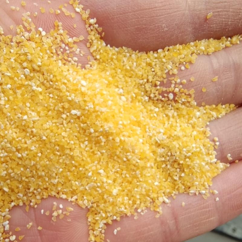 玉米碴黄玉米渣棒子粒五谷杂粮（大，中，小）玉米