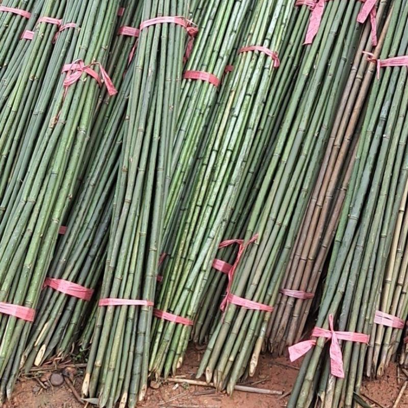 豆角架，丝瓜架，黄瓜架