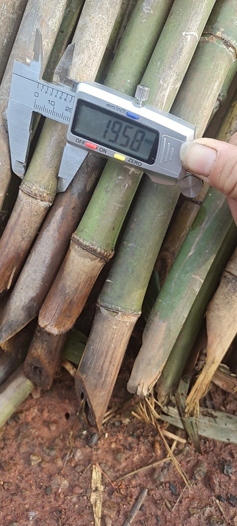 豆角架，丝瓜架，黄瓜架