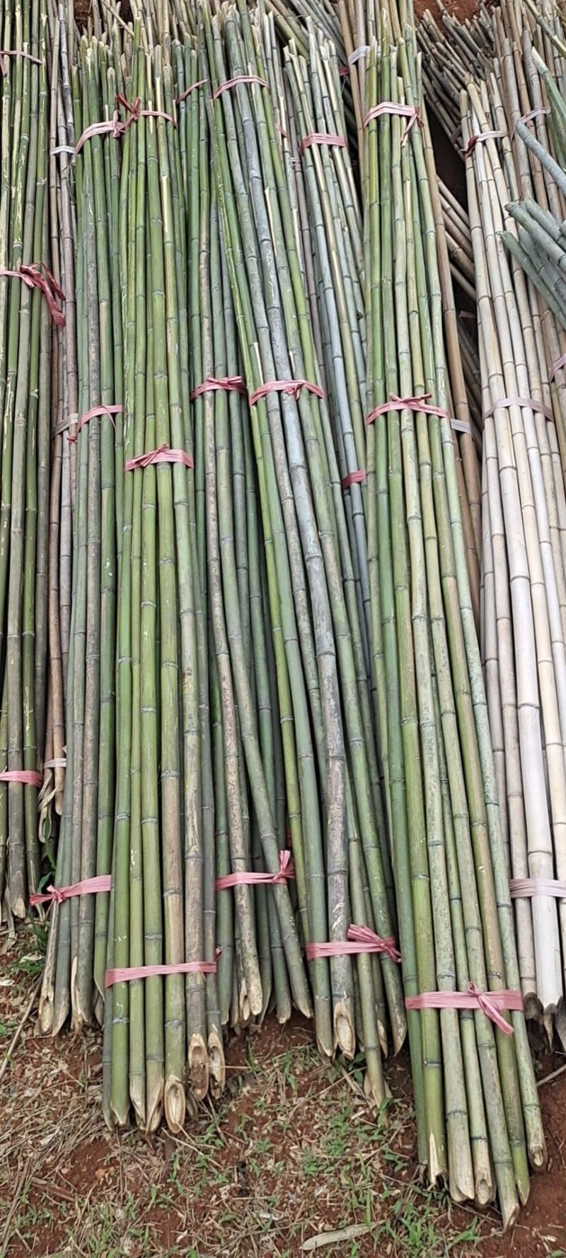豆角架，丝瓜架，黄瓜架