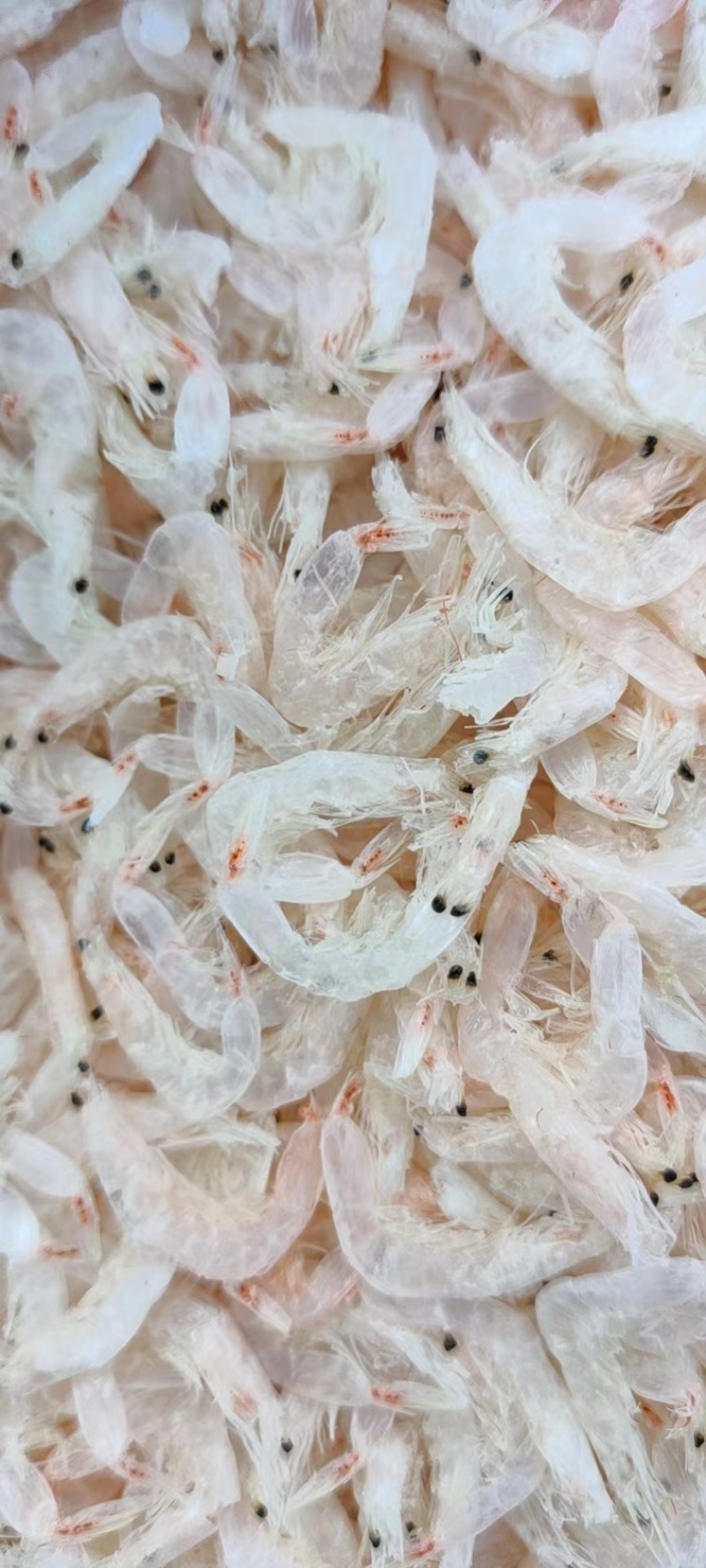 【推荐】精品虾皮自家一手货源保质保量(不包邮)