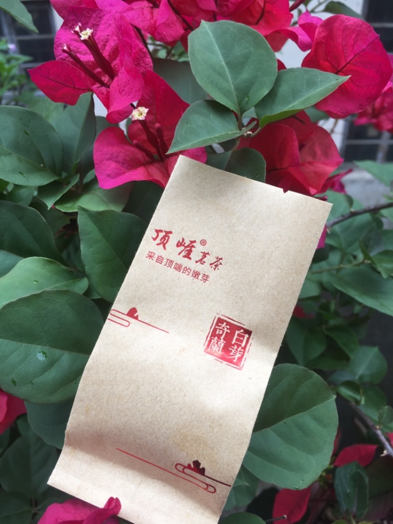 白芽奇兰（福建省漳州市平和县白芽奇兰茶特色农产品）