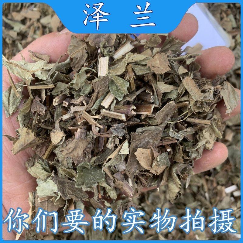 泽兰中药材无硫泽兰叶新货精选无杂中草药泽兰草