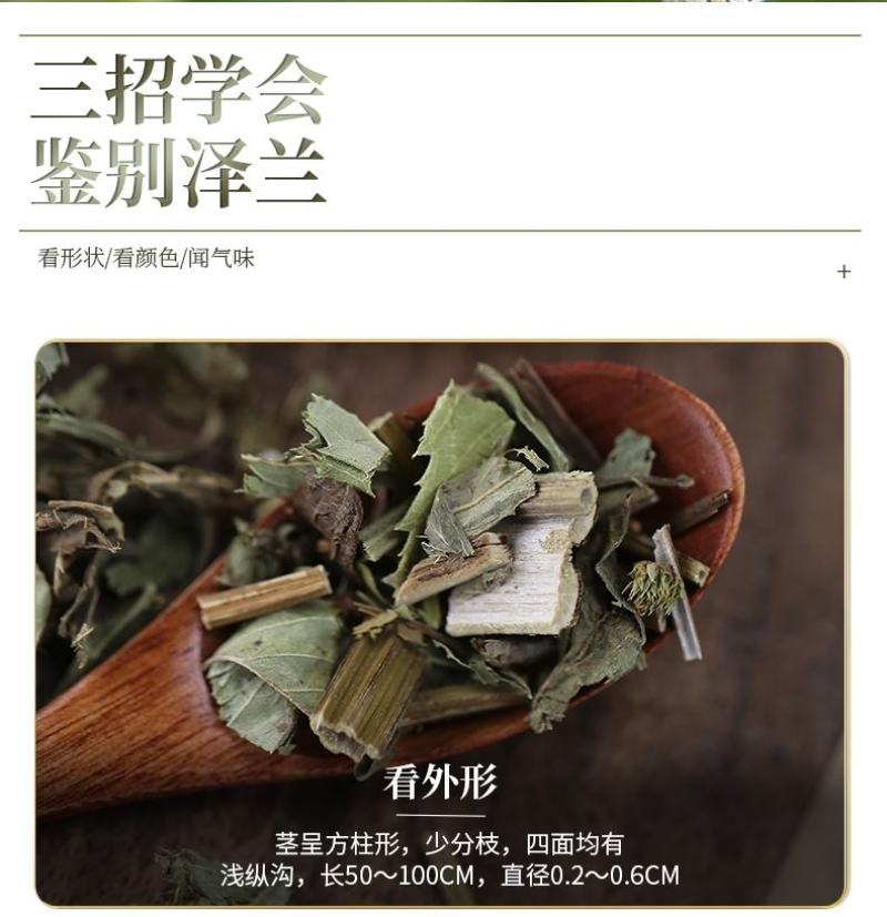 泽兰中药材无硫泽兰叶新货精选无杂中草药泽兰草