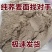 现磨荞面粉黑荞麦面特全麦面粉荞麦面粉农家荞面乔麦饸饹面