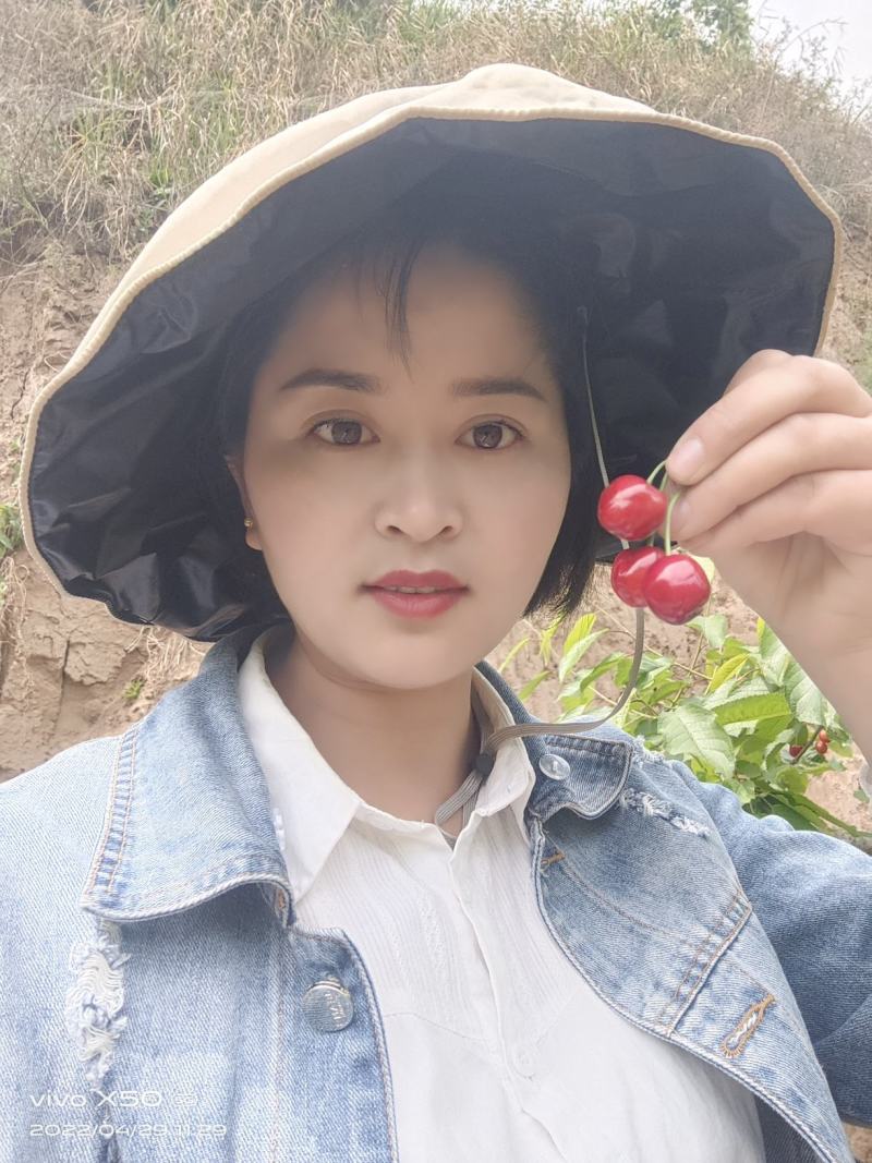 陕西樱桃