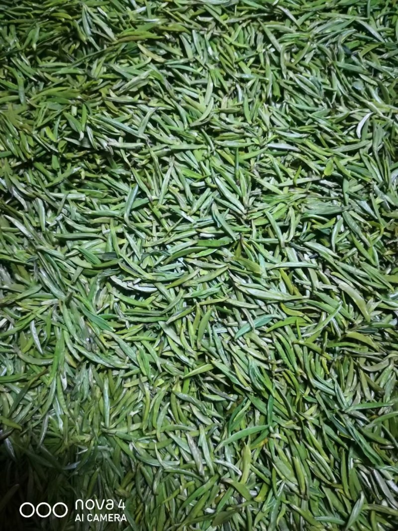 贵州名茶石阡苔茶绿茶好山好水出好茶