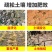 聚糖多肽生物钾:生根养根，膨果着色，增甜靓果