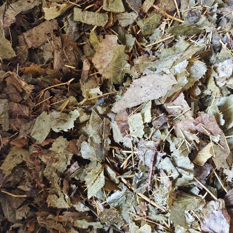 淫羊藿羊油制淫羊藿地道药材产地黑龙江省紫轩堂药业