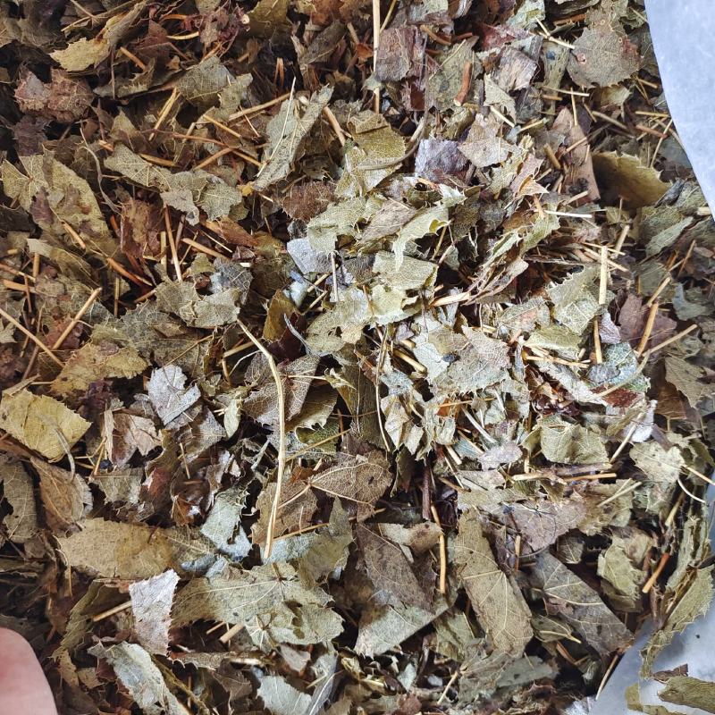 淫羊藿羊油制淫羊藿地道药材产地黑龙江省紫轩堂药业