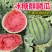 夏邑西瓜8424当天发货