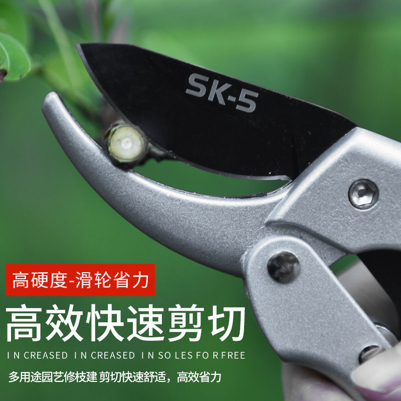 树粗枝剪刀修枝剪刀园林花艺剪园艺剪刀修花工具花剪果树枝