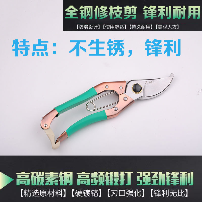 树粗枝剪刀修枝剪刀园林花艺剪园艺剪刀修花工具花剪果树枝