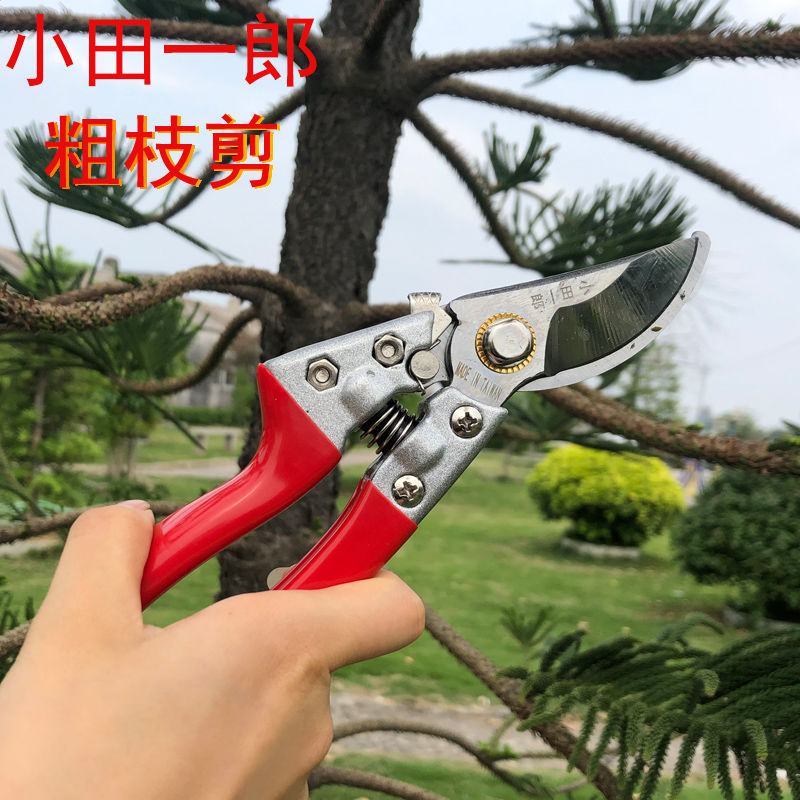 树粗枝剪刀修枝剪刀园林花艺剪园艺剪刀修花工具花剪果树枝