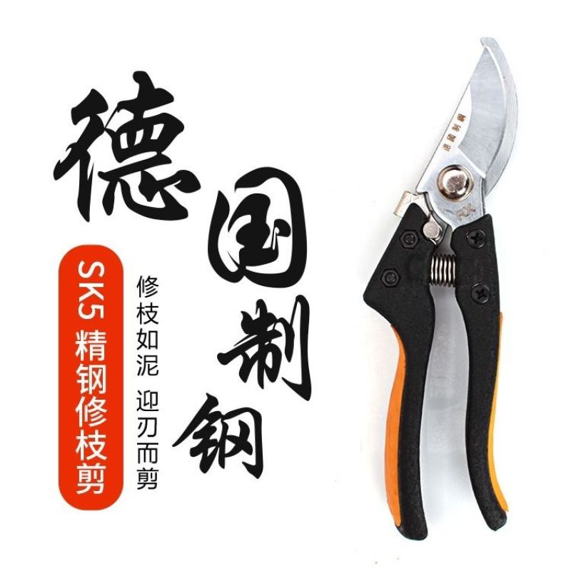 进口SK5钢修枝剪园林果树剪刀粗枝花剪省力树枝修花园