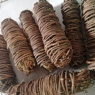 【精选】鸡骨草广东德庆本地大山鸡骨草有少量叶无叶鸡骨草