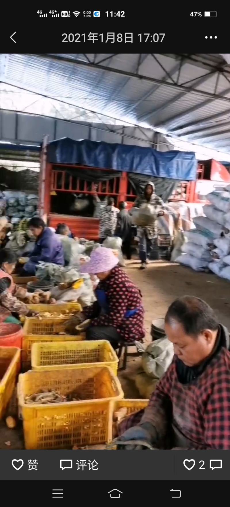 精品饲料大量供应红薯皮，可用于猪牛羊马主料，营养丰富。