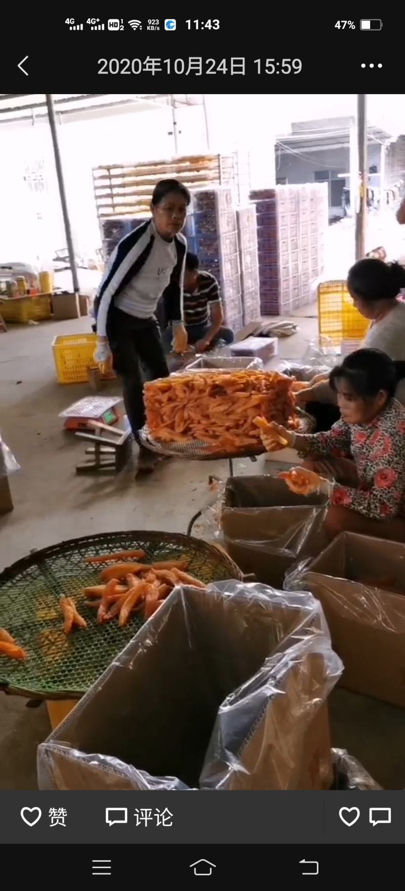精品饲料大量供应红薯皮，可用于猪牛羊马主料，营养丰富。