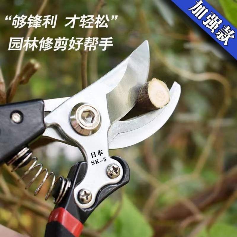 原装日本VVT进口SK5强力园艺修枝剪新款园林家用省力款