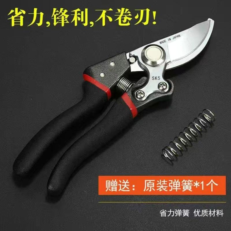 原装日本VVT进口SK5强力园艺修枝剪新款园林家用省力款