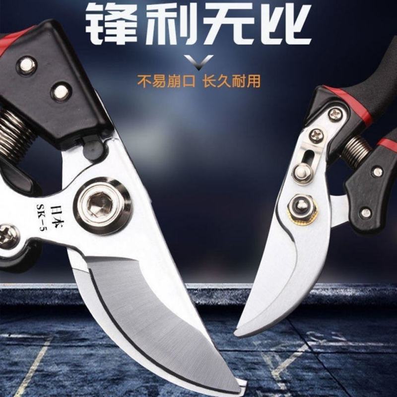 原装日本VVT进口SK5强力园艺修枝剪新款园林家用省力款