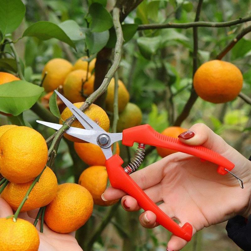 葡萄采果剪稀果疏花剪修花枝剪柑橘子蔬果采摘摘果剪刀