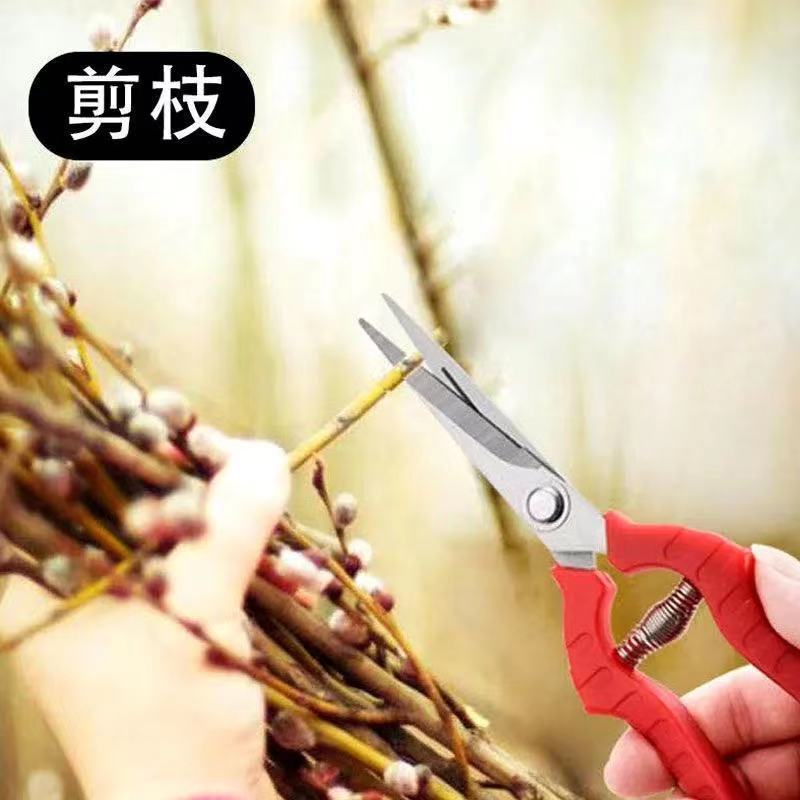 葡萄采果剪稀果疏花剪修花枝剪柑橘子蔬果采摘摘果剪刀