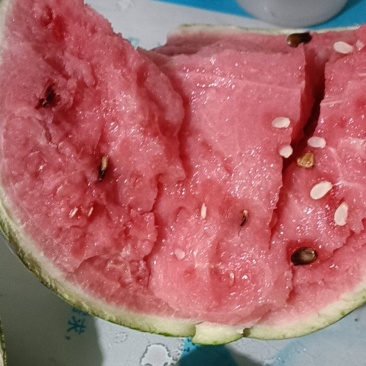 西瓜