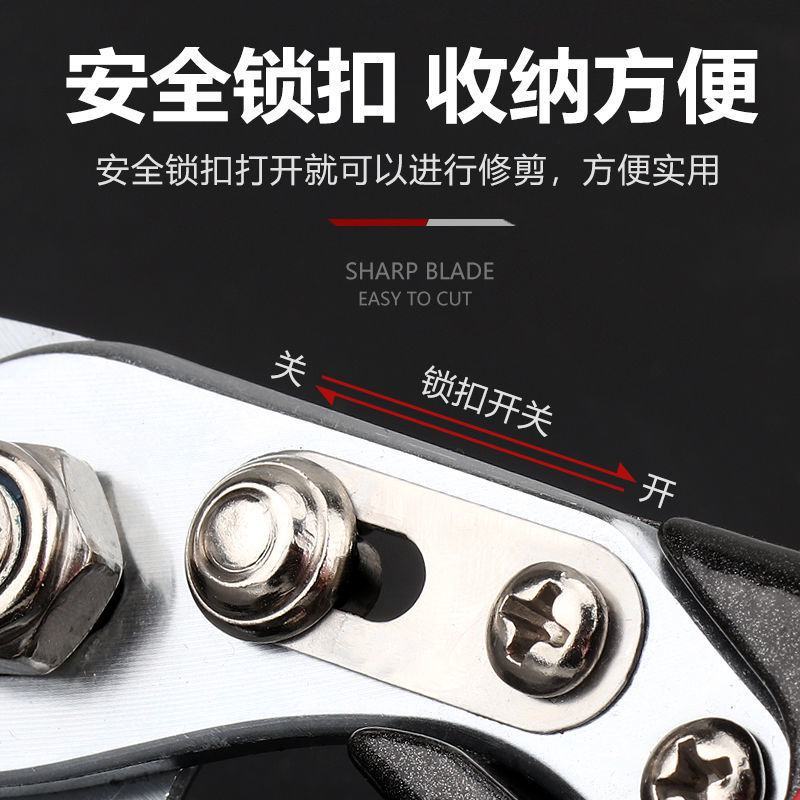 省力果树修枝剪刀分段式专业园艺修剪树枝园林修花枝剪粗枝剪
