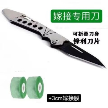 可折叠嫁接刀嫁接果树接芽刀特种钢接木专用刀削木嫁接工具嫁