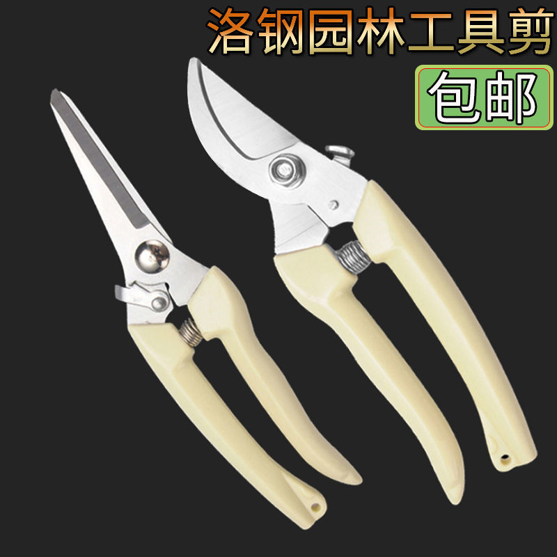 不锈钢树枝修枝剪摘水果花木剪刀园林果树花卉枝嫁接园艺剪刀