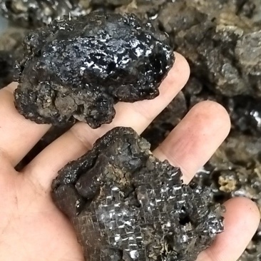 产地直销野生药材猴结血灵脂猴竭猴結