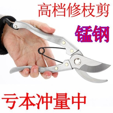 进口修枝剪花剪树枝剪刀园艺剪园林剪果树五金工具修剪修