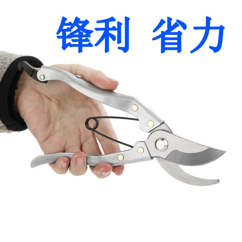 进口修枝剪花剪树枝剪刀园艺剪园林剪果树五金工具修剪修