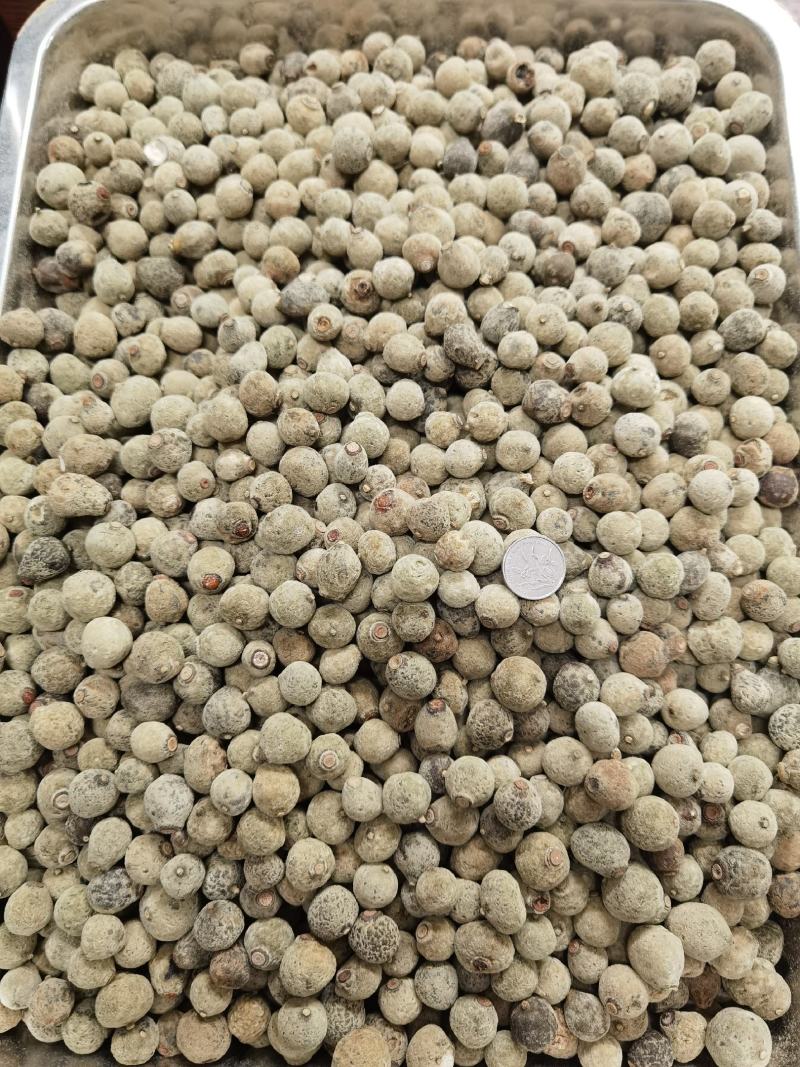 正毛化州橘红正毛化州纯正橘红胎果一公斤起包邮质量保证