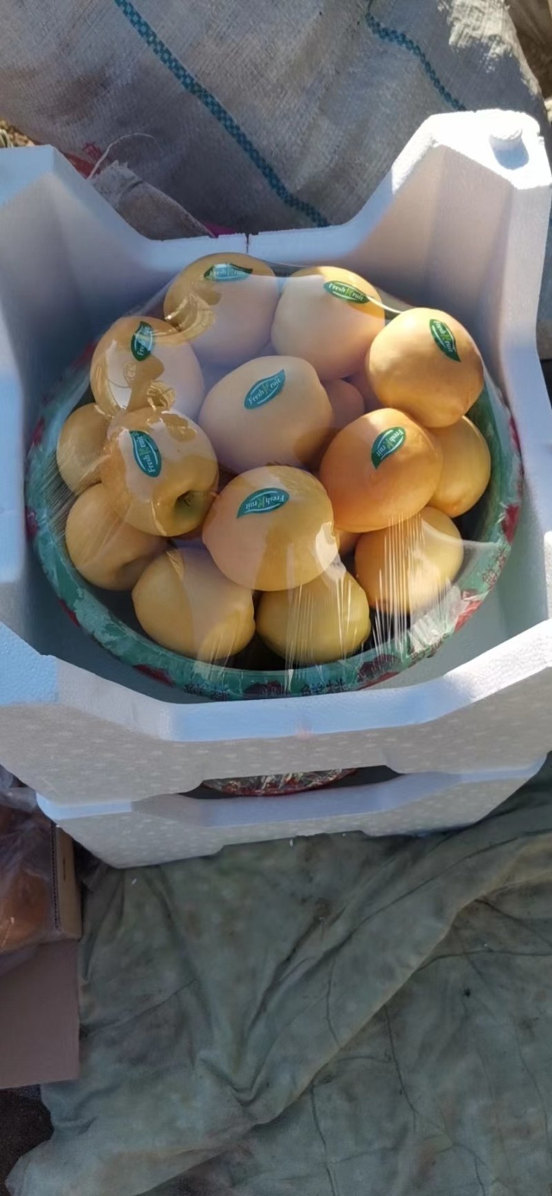 精品黄油桃大量上市，一手货源，产地直销，需要的老板联系！