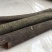 广东农副产品统筒干桂皮老树桶桂皮卤水调味香料德庆产地