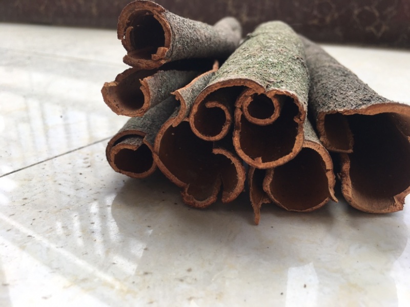广东农副产品统筒干桂皮老树桶桂皮卤水调味香料德庆产地