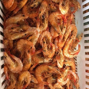 烤虾，虾皮，海产品干货
