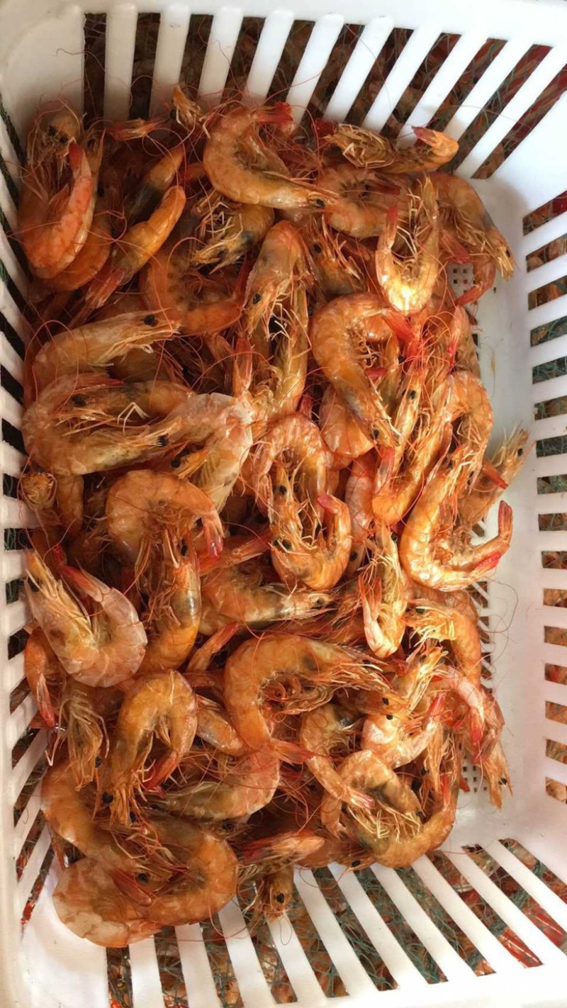 烤虾，虾皮，海产品干货