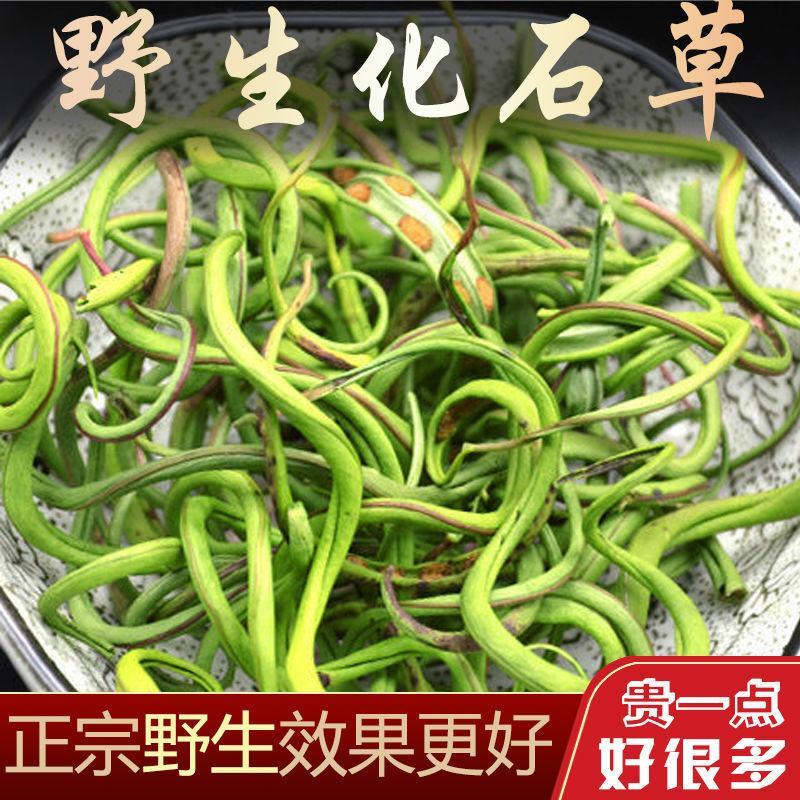 化石草小叶化石草化石草化石草草药一公斤起批