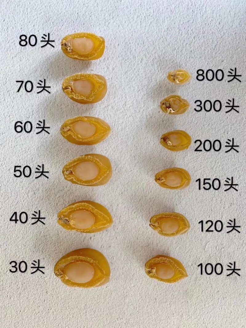 鲍鱼干批发零售鲍鱼干货多规格A货干度好