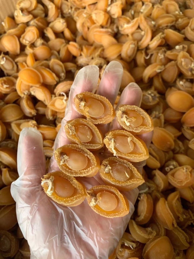 鲍鱼干批发零售鲍鱼干货多规格A货干度好