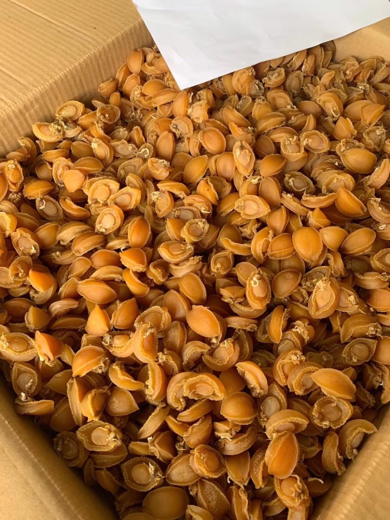鲍鱼干批发零售鲍鱼干货多规格A货干度好