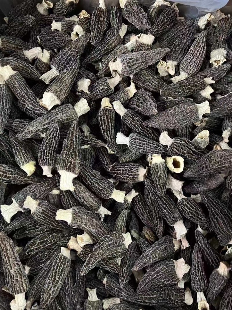 羊肚菌足干厚肉手挑品质靓货一手货源批发零售