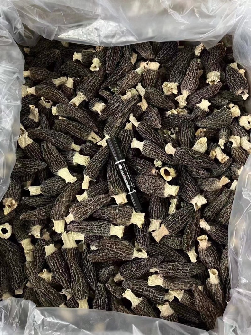 羊肚菌足干厚肉手挑品质靓货一手货源批发零售