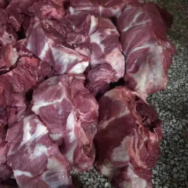 母猪一号肉厂家一手货源