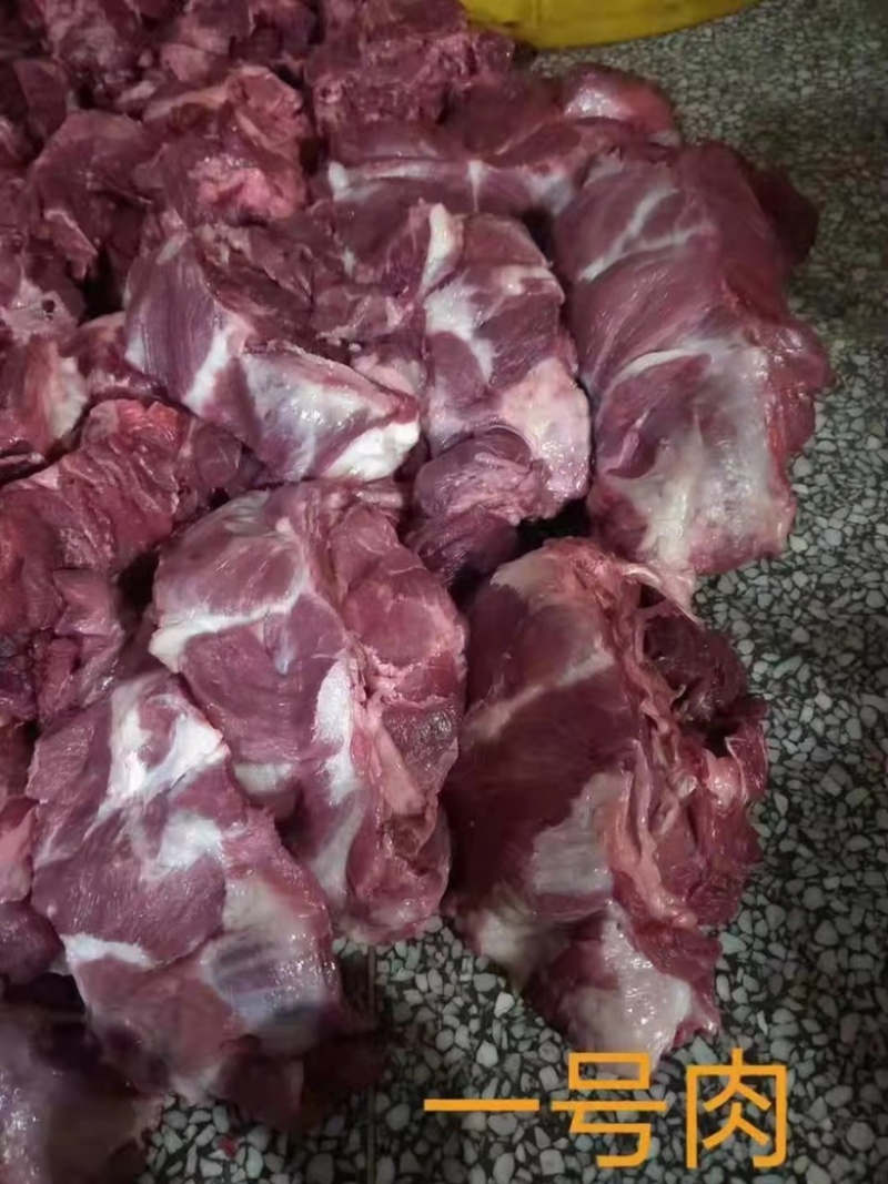 母猪一号肉厂家一手货源